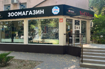 Зоомагазин VeDZoo: ваш вибір в Одесі для улюбленців