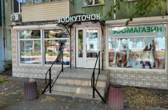 Зоомагазин в Одесі: ідеальний зоокуточок для вас
