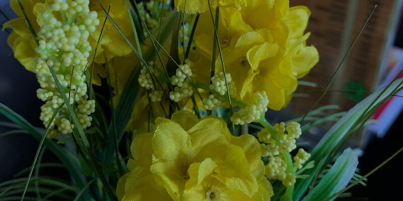 Автомийка Папашон в Одесі: ідеальна чистота авто Автомийка Папашон в Одесі: ідеальна чистота авто