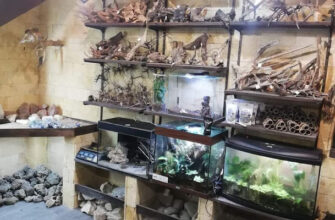 Зоомагазин Zoo Хата в Одесі – все для ваших улюбленців