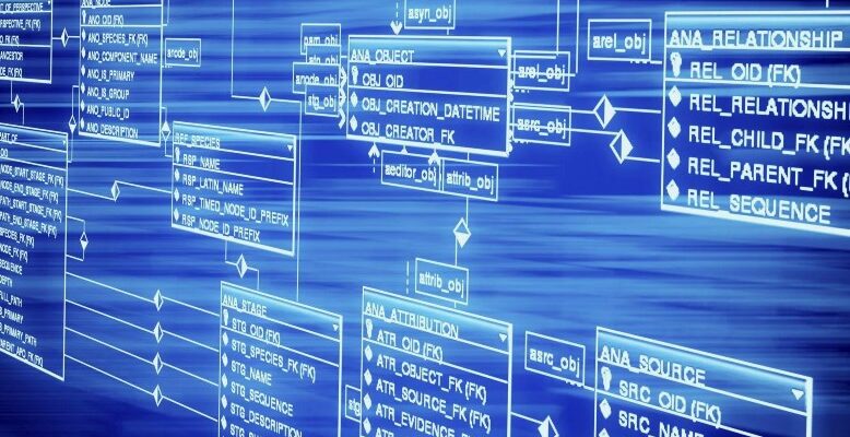 Реляційні бази даних: основи, переваги та практичне застосування