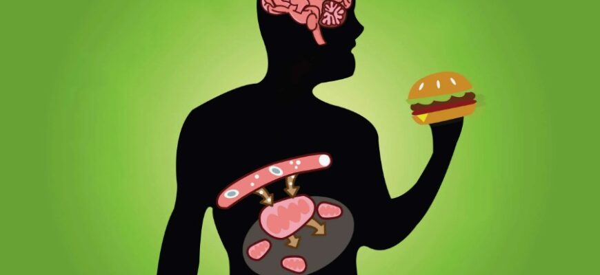 Анаболізм: що це таке та яку роль відіграє в обміні речовин?