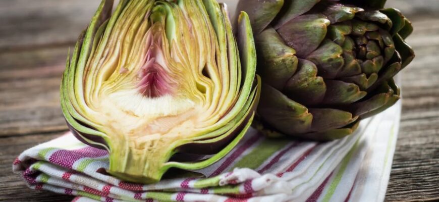 Артишок: Властивості, користь та поради щодо вирощування рослини