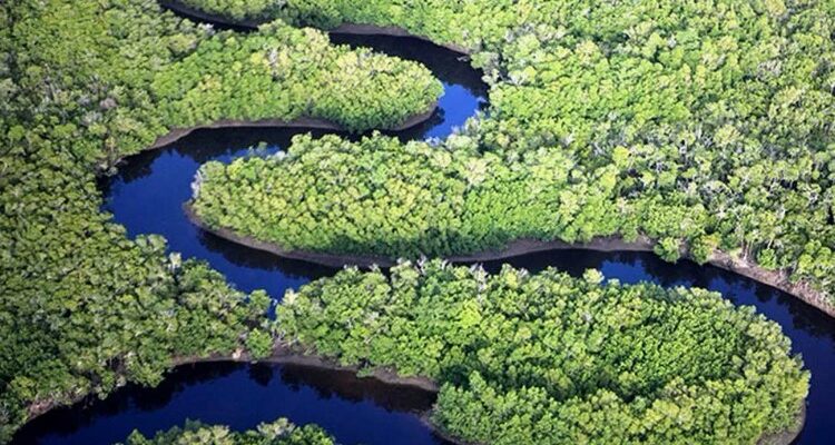Всі секрети басейну річки: визначення, структура та значення