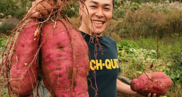 Батат: Відкрийте для себе користь, вирощування та смакові якості