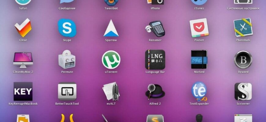 Додатки: Що Це Таке, Як Працюють Та Чому Вони Необхідні Користувачам