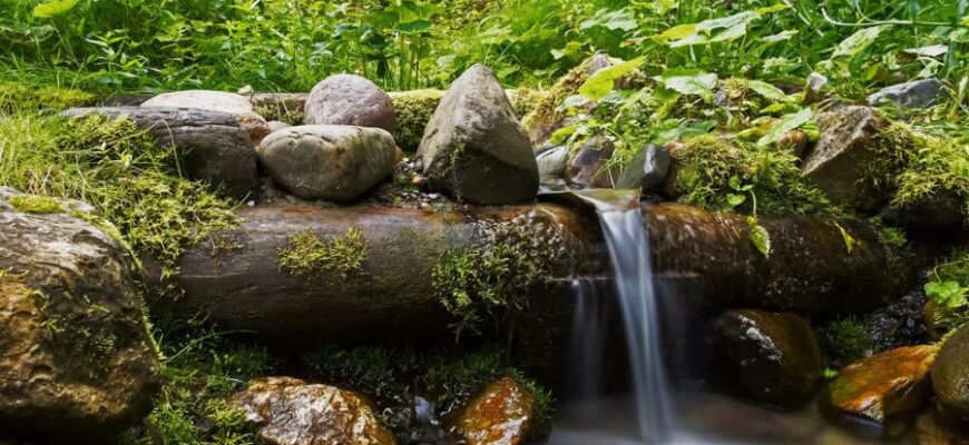 Що таке джерело: повне визначення та його значення в житті
