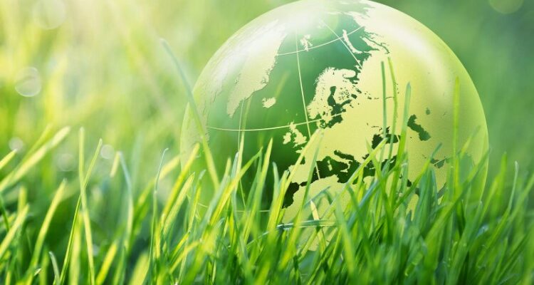 Екологічна безпека: що це таке і чому вона важлива для суспільства?