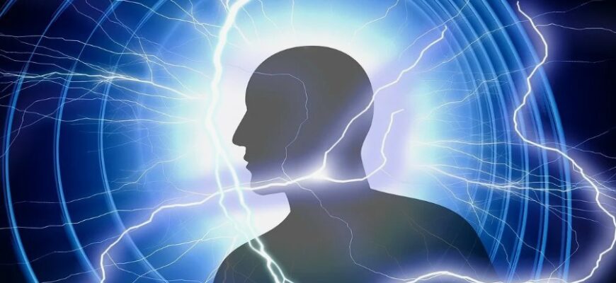 Енергетичний обмін: ключові процеси перетворення енергії в організмі