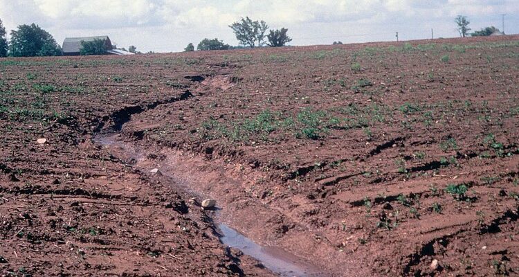 Ерозія: визначення, причини та наслідки для природи і людини