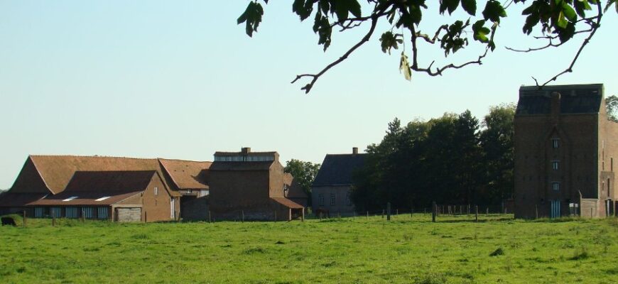 Феод: визначення, значення та історичний контекст у суспільстві