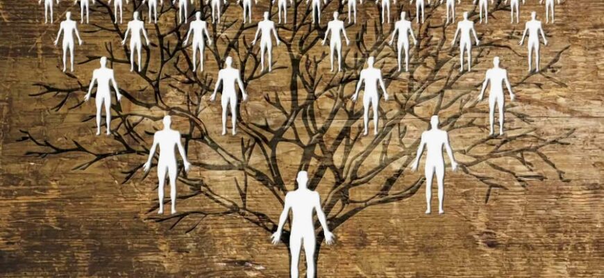 Генеалогія: Як дослідження родового дерева допомагає зрозуміти історію роду