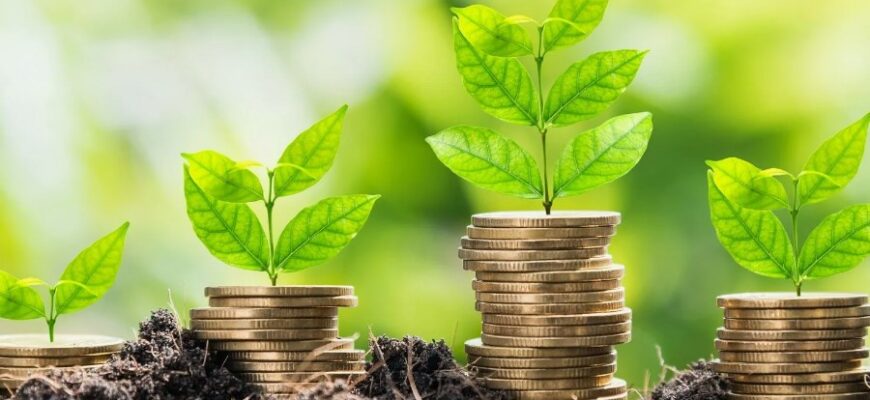 Інвестиції: Що це таке та як вигідно вкладати гроші в 2023 році?