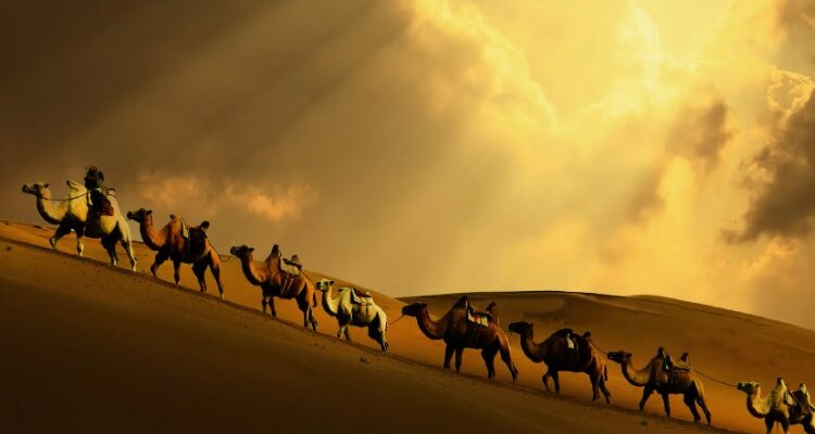 Караван: Історія, значення та роль у сучасному світі