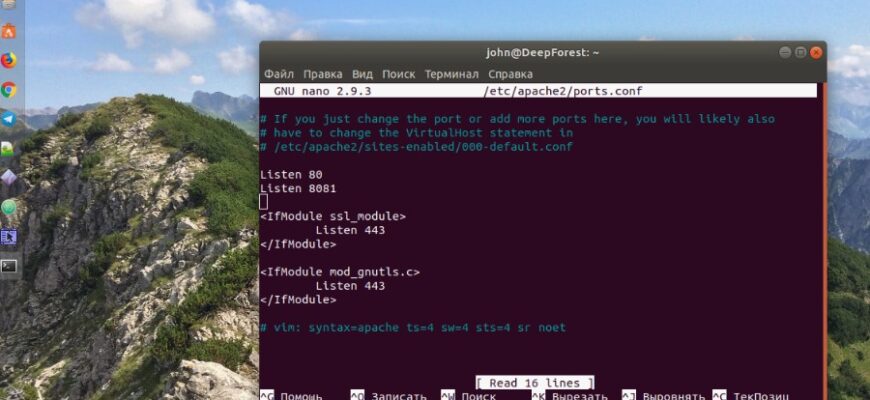 Що таке хост: ключові функції та як вибрати ідеальний варіант