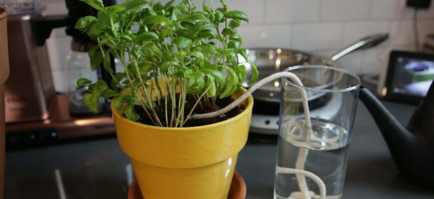 Лайфхак: Що це таке і як він допомагає спростити ваше життя?