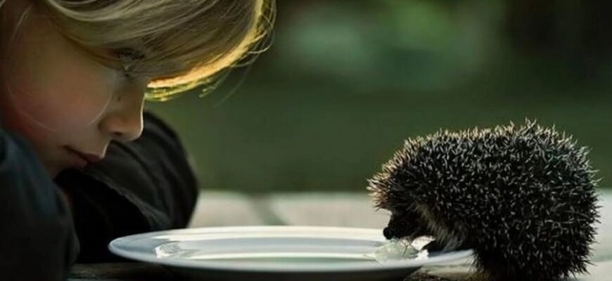 Людяність: що означає бути людяним у сучасному світі?