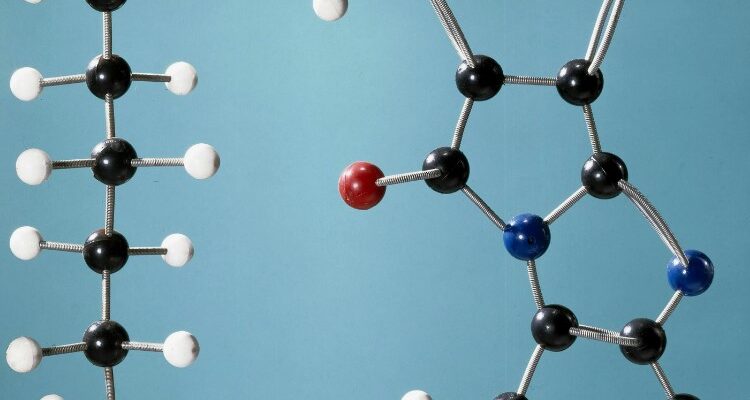 Мономери: Що Це Таке та Яку Роль Вони Відіграють у Хімії?