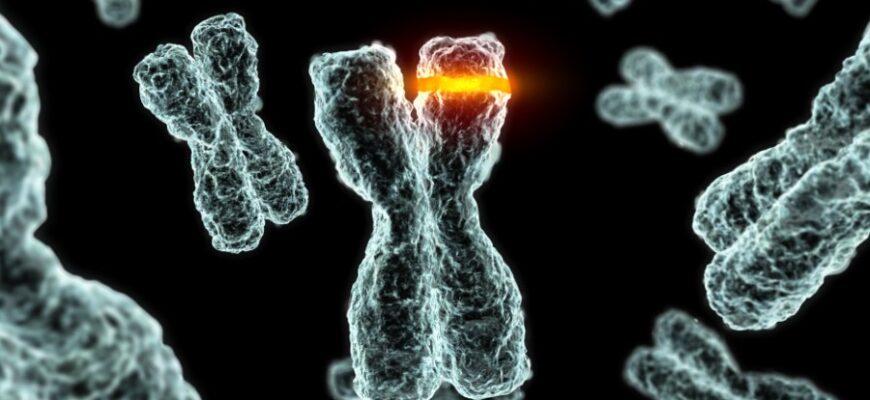 Що таке мутація: ключові факти та вплив на еволюцію організмів