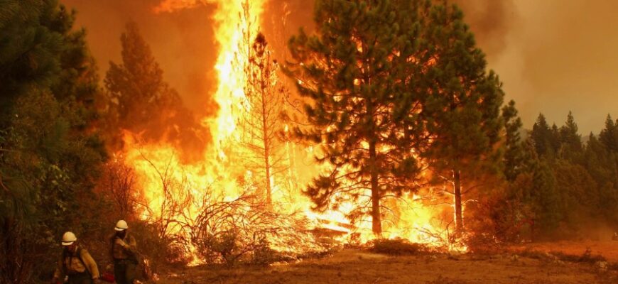 Що таке надзвичайні ситуації: визначення, види та підготовка