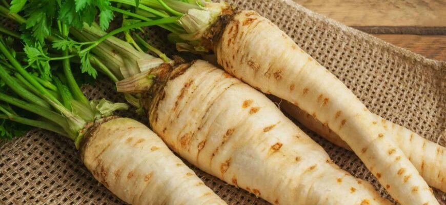 Пастернак: Що Це Таке, Властивості Та Використання Цієї Рослини