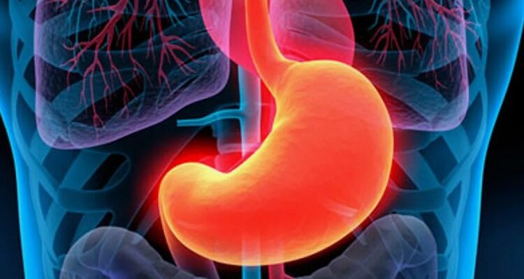 Пепсин: важливий фермент для травлення білків у шлунку людини