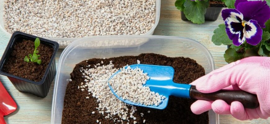 Що таке перліт: властивості, застосування та переваги для садівників