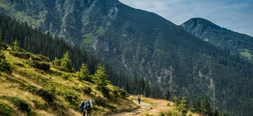 Плай: що це таке, його значення та застосування у сучасній мові