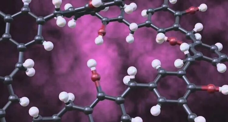 Що таке полімери: Визначення, різновиди та застосування в житті