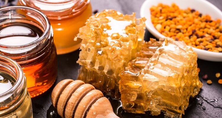 Роль прополісу в медицині: склад, властивості та користь для здоров’я