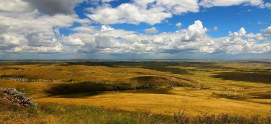 Що таке степ: Визначення, характеристики та важливість екосистеми