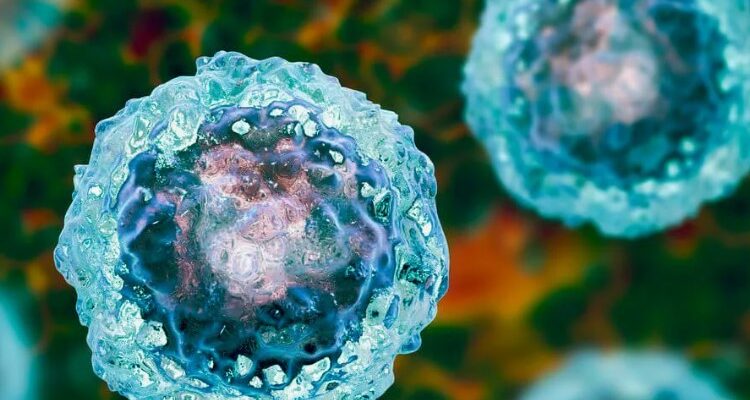 Стовбурові клітини: Розуміння їхньої ролі та можливостей в медицині