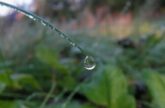 Розуміння Точки Роси: Як Вона Впливає на Ваші Житлові Умови Розуміння Точки Роси: Як Вона Впливає на Ваші Житлові Умови