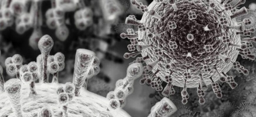 Віруси: визначення, типи та вплив на організм людини та комп’ютери