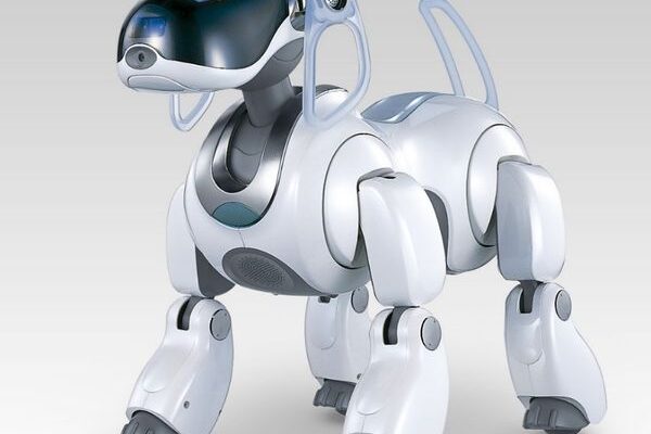 Що таке робот: визначення та функції у сучасному світі технологій