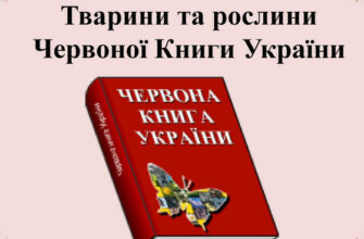 Що таке Червона книга: значення, мета та важливість охорони видів