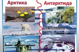 Арктика і Антарктика: в чому різниця між цими полярними регіонами?
