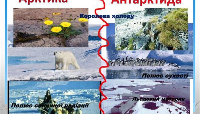 Арктика і Антарктика: в чому різниця між цими полярними регіонами?
