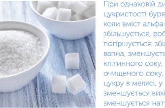 Категорії цукру: Визначаємо різницю та обираємо найкращий варіант