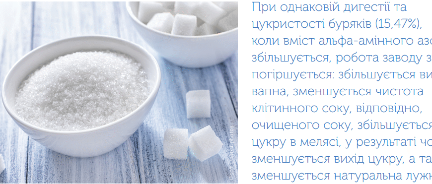 Категорії цукру: Визначаємо різницю та обираємо найкращий варіант