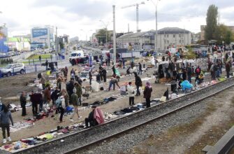 Розуміння ринку: основи, значення та його роль в економіці