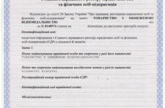 Різниця між витягом та випискою: що обрати для своїх потреб?
