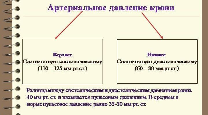Різниця між систолічним і діастолічним тиском: що варто знати?
