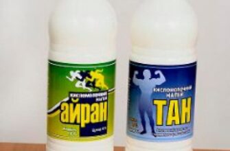 Порівняння тану і айрану: основні відмінності та користь для здоров’я