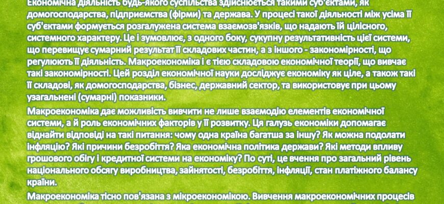 Що таке національна економіка: основи функціонування та значення