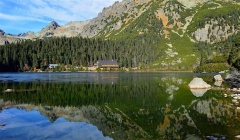 Що таке плесо: визначення, особливості та приклади водойм України