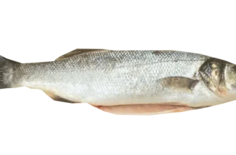 Сібас: Корисні властивості, смакові якості та секрети приготування