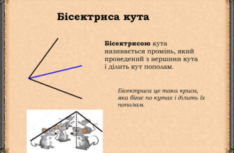 Кут: Визначення, типи та важливість у повсякденному житті та науці