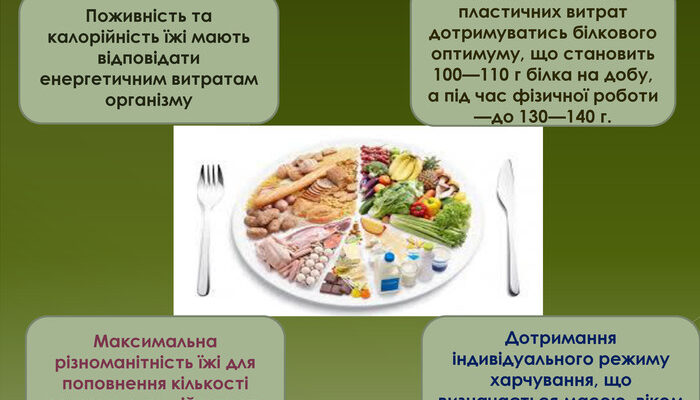 Раціональне харчування: що це таке та як правильно харчуватись щодня?