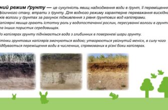 Іригація: Що Це Таке І Як Вона Впливає На Врожайність?